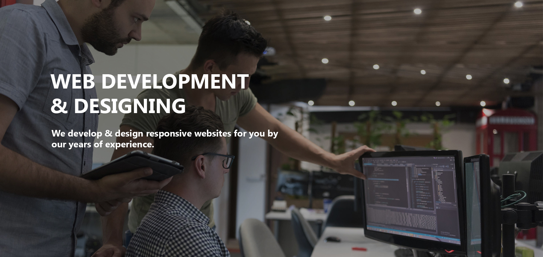 Web development